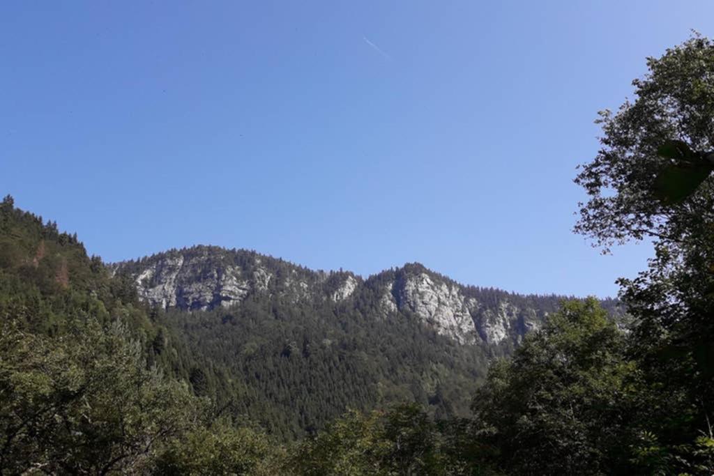 Grand Bornand-La Clusaz Entremont 外观 照片